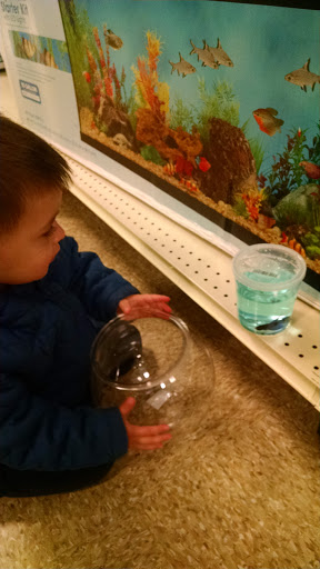 Pet Supply Store «PetSmart», reviews and photos, 4180 US-1, Monmouth Junction, NJ 08852, USA