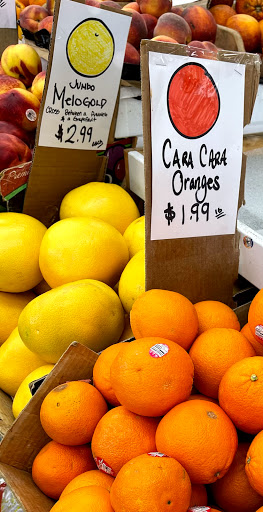 Grocery Store «Arax Market», reviews and photos, 585 Mt Auburn St, Watertown, MA 02472, USA