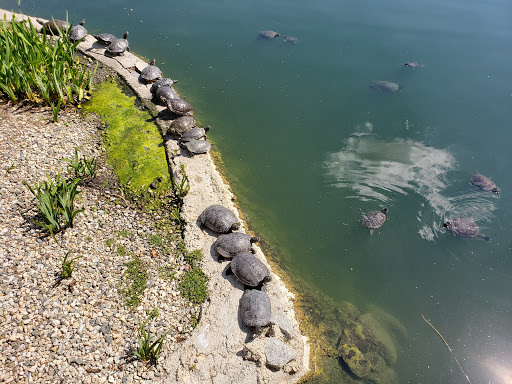 Park «Bridgeport Park», reviews and photos, 23520 Bridgeport Ln, Santa Clarita, CA 91355, USA