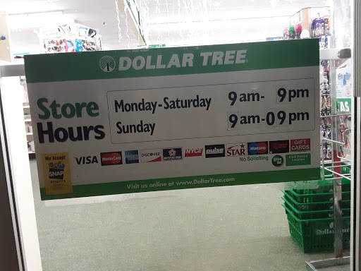 Dollar Store «Dollar Tree», reviews and photos, 520 Pacific Hwy W, Junction City, OR 97448, USA