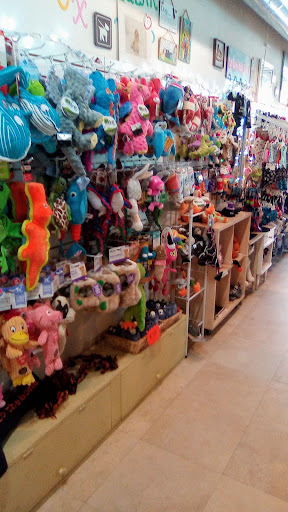 Pet Supply Store «Silly Willies», reviews and photos, 218 Flagler Ave, New Smyrna Beach, FL 32169, USA