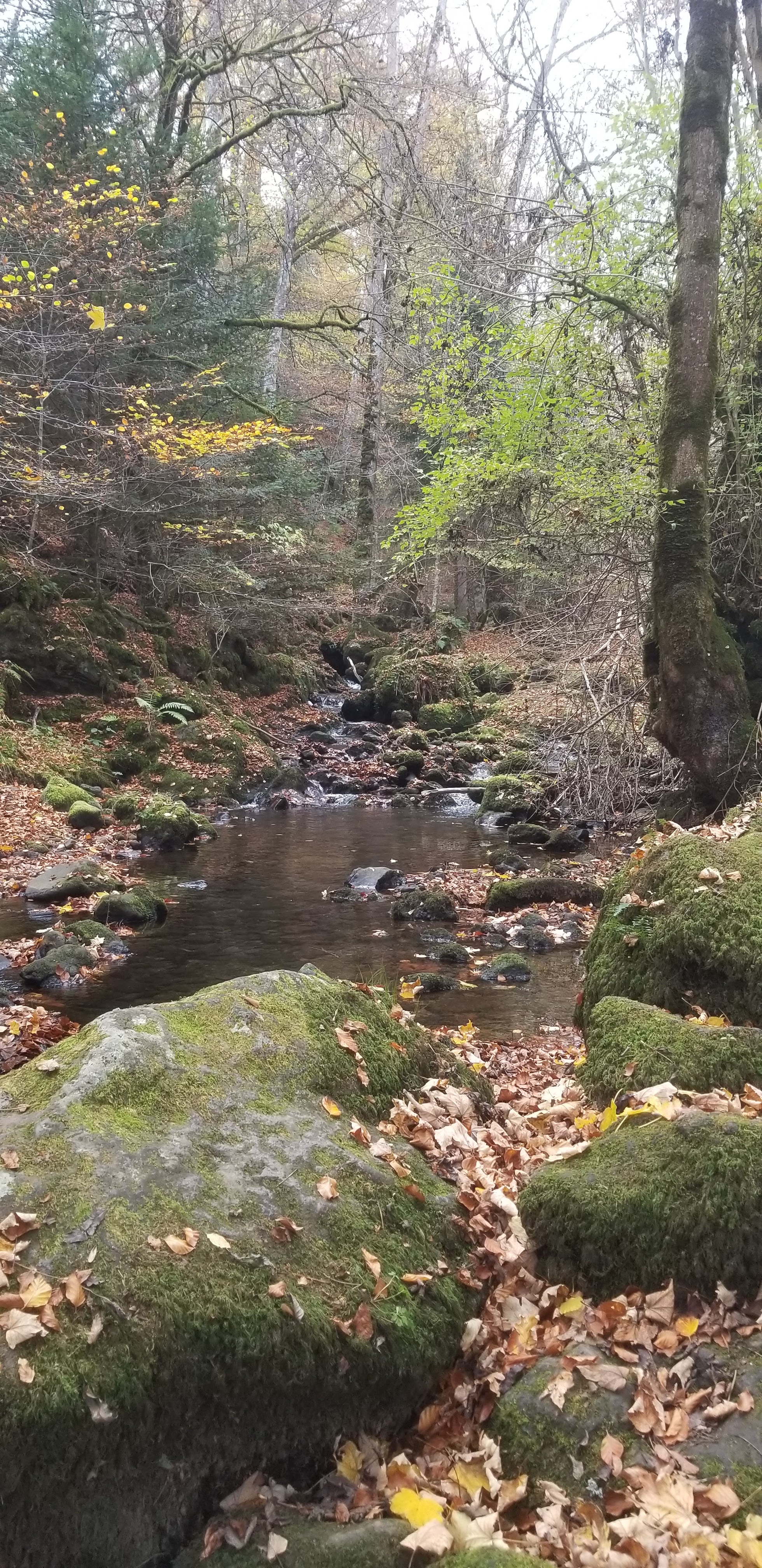 Photo n° 8 de l'avis de Céline.O fait le 31/10/2022 à 19:54