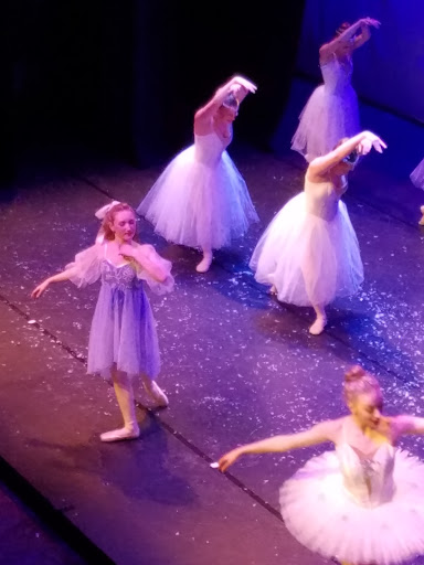 Performing Arts Theater «Charles R Wood Theater», reviews and photos, 207 Glen St, Glens Falls, NY 12801, USA