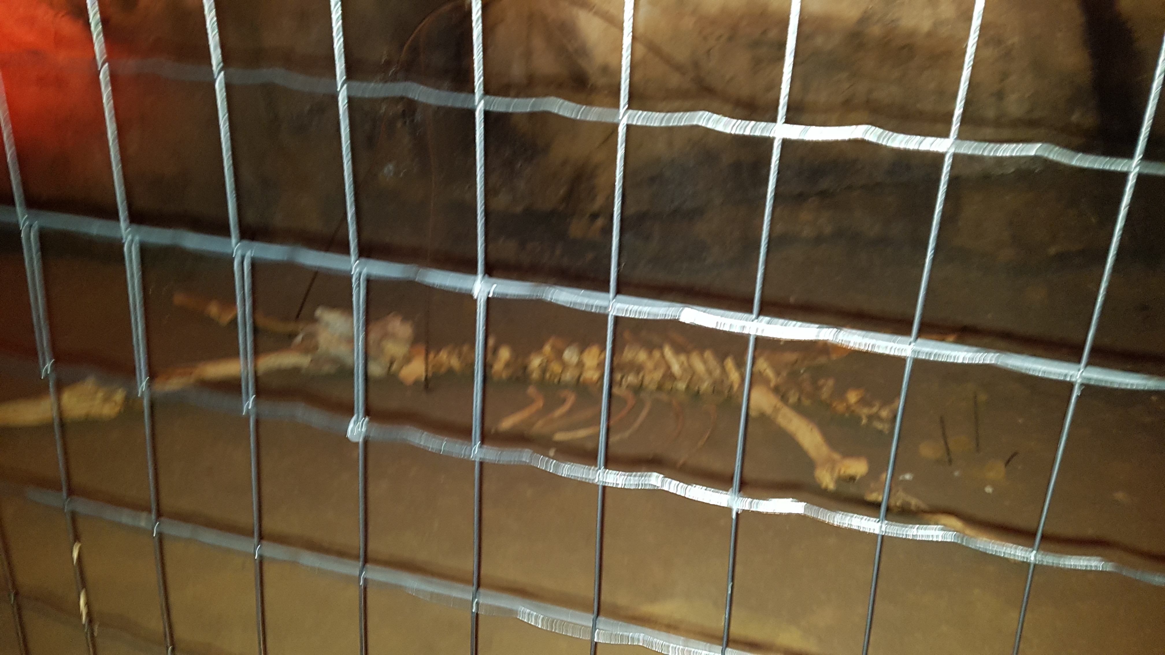 Photo n° 21 de l'avis de delphine.l fait le 25/08/2018 à 12:52