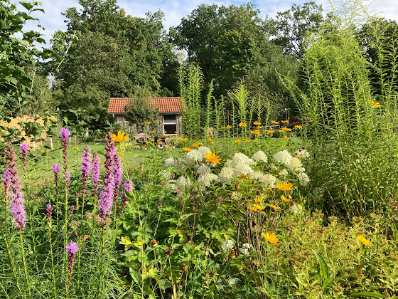 Photos des visiteurs Ferienhaus Katenhof am Steinberg 29588 Oetzen