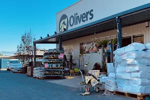 Olivers Pets and Plants image