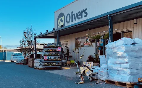 Olivers Pets and Plants image