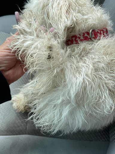 Pet Store «Everything Pet», reviews and photos, 3616 N Fry Rd, Katy, TX 77449, USA