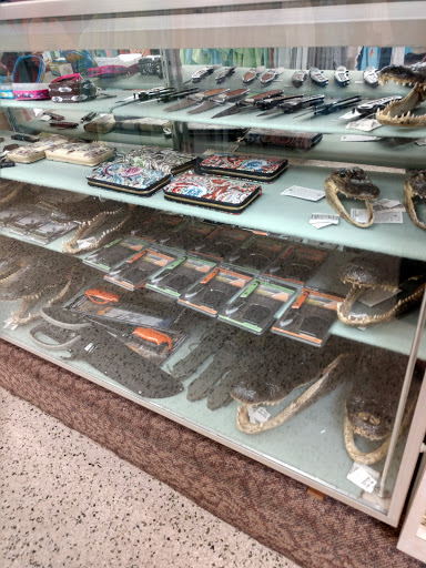 Gift Shop «Big Shark», reviews and photos, 2715 N Atlantic Ave, Daytona Beach, FL 32118, USA