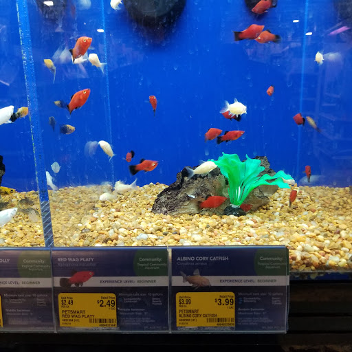 Pet Supply Store «PetSmart», reviews and photos, 948 Springfield Rd, Union, NJ 07083, USA