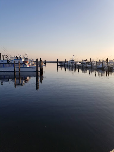 Fishing Charter «Dorothy B. Fishing Party Boat», reviews and photos, Simon Lake Dr, Atlantic Highlands, NJ 07716, USA