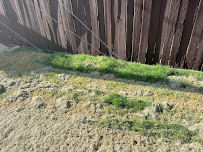 Affordable Lawn Care - Photo 8 - Car repair in Burkburnett, TX, Wichita Falls