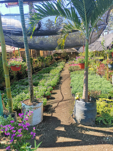 Xochimilcho good vivero – Mérida