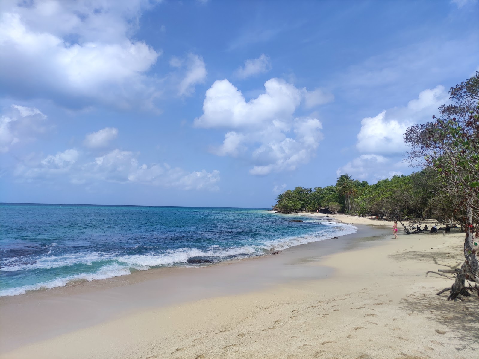 Foto de Plage Anse desert localizado em área natural