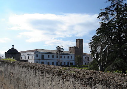 Biblioteca de Extremadura Plazuela de Ibn Marwan, s/n, 06001 Badajoz, España