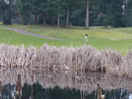 Golf Course «Horseshoe Lake Golf Course», reviews and photos, 1250 SW Club House Ct, Port Orchard, WA 98367, USA