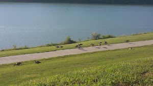 Thousand Hills State Park - photo 90