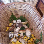 Photo n°1 de l'avis de Daniela.m fait le 15/09/2020 à 13:02 sur le  Koliba à Rorà