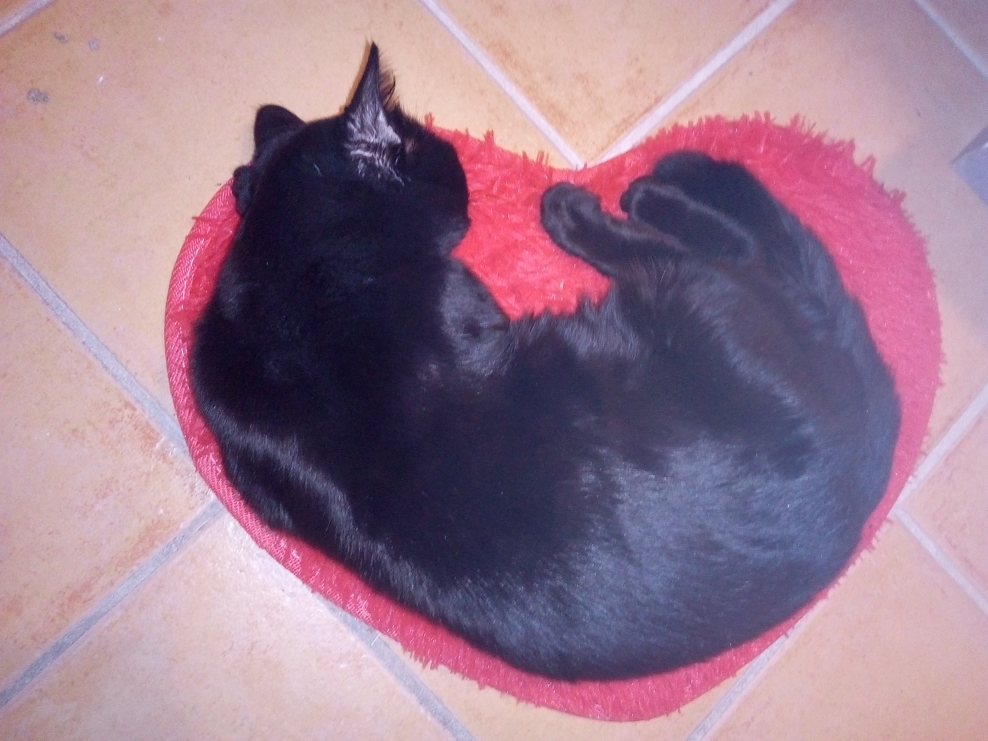 Photo n° 2 de l'avis de No.a fait le 24/03/2018 à 13:16