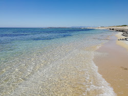Spiaggia di Portu S'Uedda'in fotoğrafı doğal alan içinde bulunmaktadır