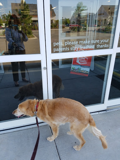 Pet Supply Store «Petco Animal Supplies», reviews and photos, 4600 Casey Blvd #100, Williamsburg, VA 23188, USA