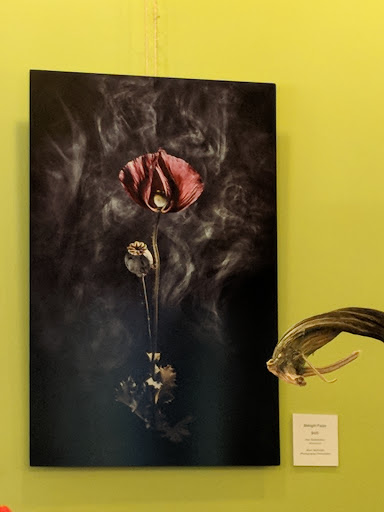 Toy Store «Calico Toy Shoppe», reviews and photos, 290 Winslow Way E, Bainbridge Island, WA 98110, USA