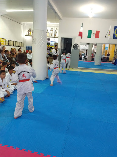 Taekwondo classes in Puebla