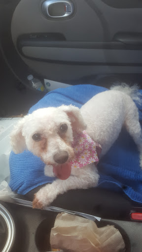 Pet Supply Store «Healthy Pet Natural Pet Care Market», reviews and photos, 2620 N Farnsworth Ave, Aurora, IL 60502, USA