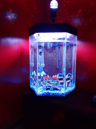 Pet Supply Store «PetSmart», reviews and photos, 157 Levittown Pkwy B, Levittown, PA 19055, USA