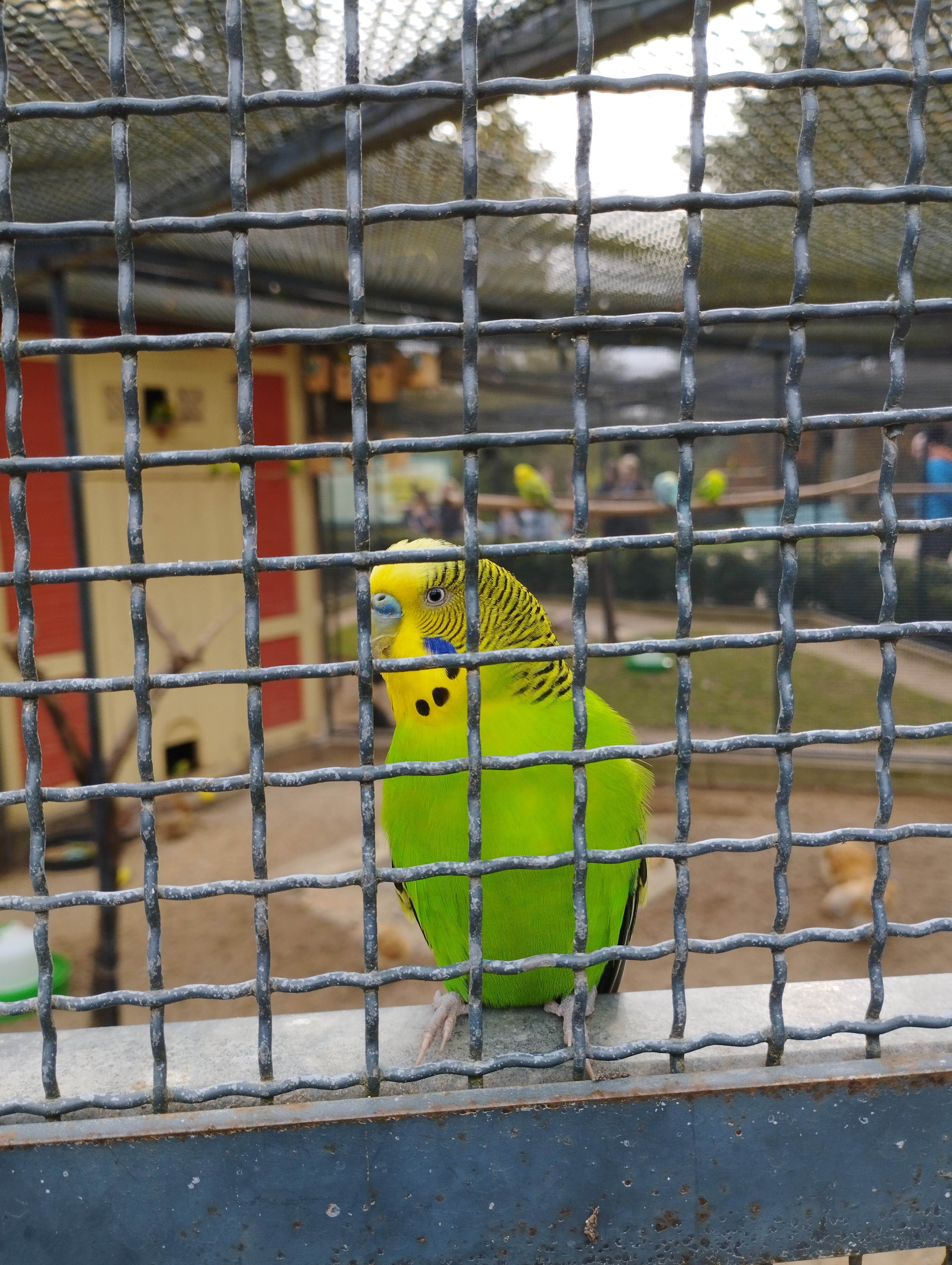 Photo n° 4 de l'avis de Bernard.a fait le 27/10/2022 à 14:14