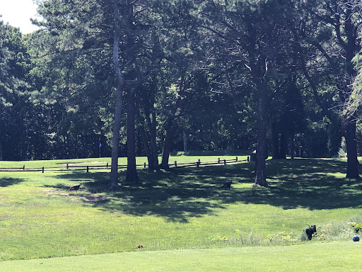 Golf Course «Pine Hills Golf Course», reviews and photos, 2 Country Club Dr, Manorville, NY 11949, USA
