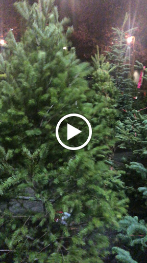 Golf Course «Interbay Golf Center», reviews and photos, 2501 15th Ave W, Seattle, WA 98119, USA