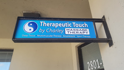 Therapeutic Touch by Charley