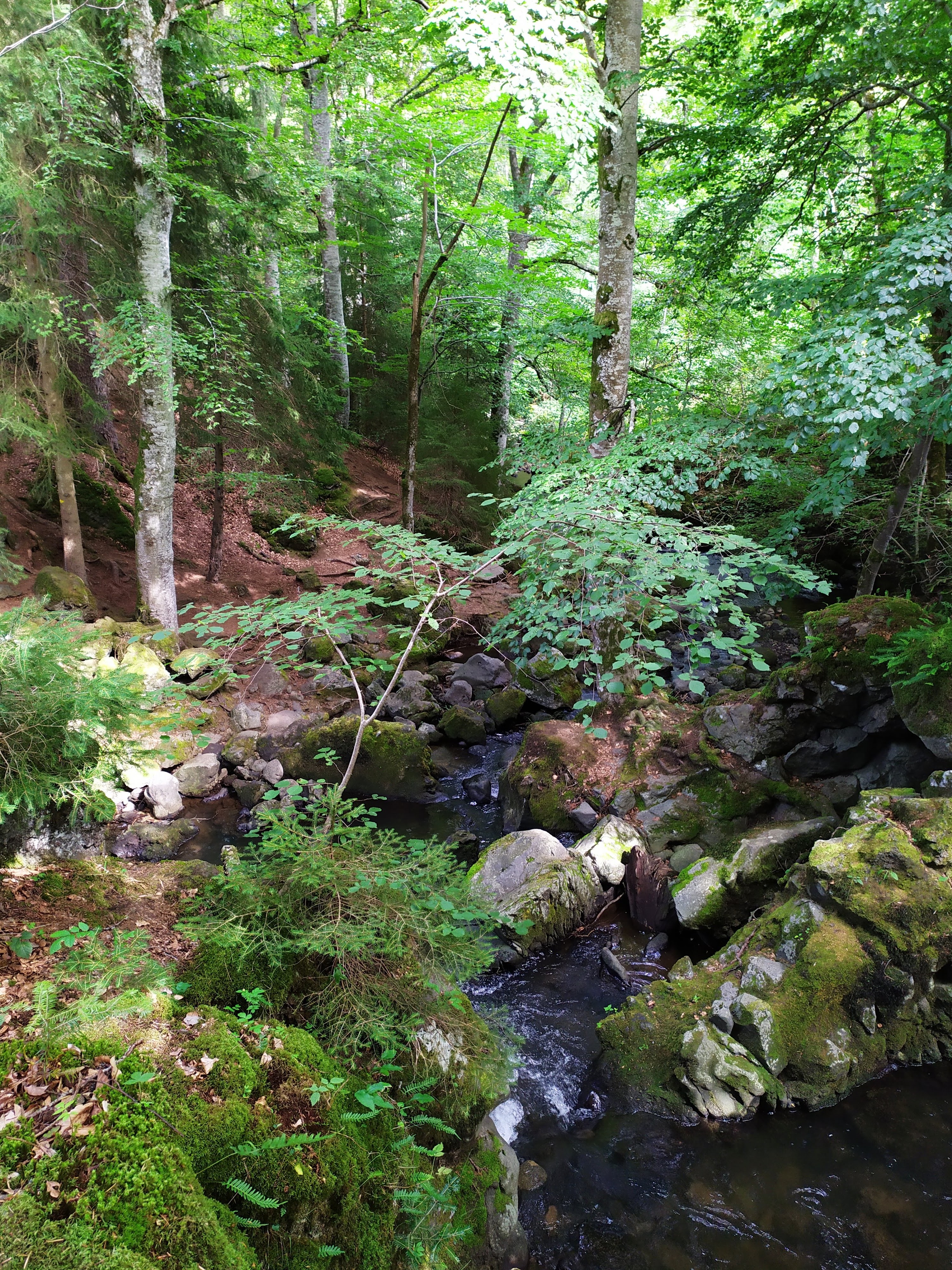 Photo n° 10 de l'avis de plancton.c fait le 21/08/2019 à 16:21