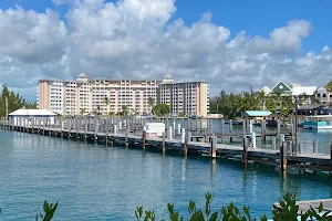 Port Lucaya Marina image