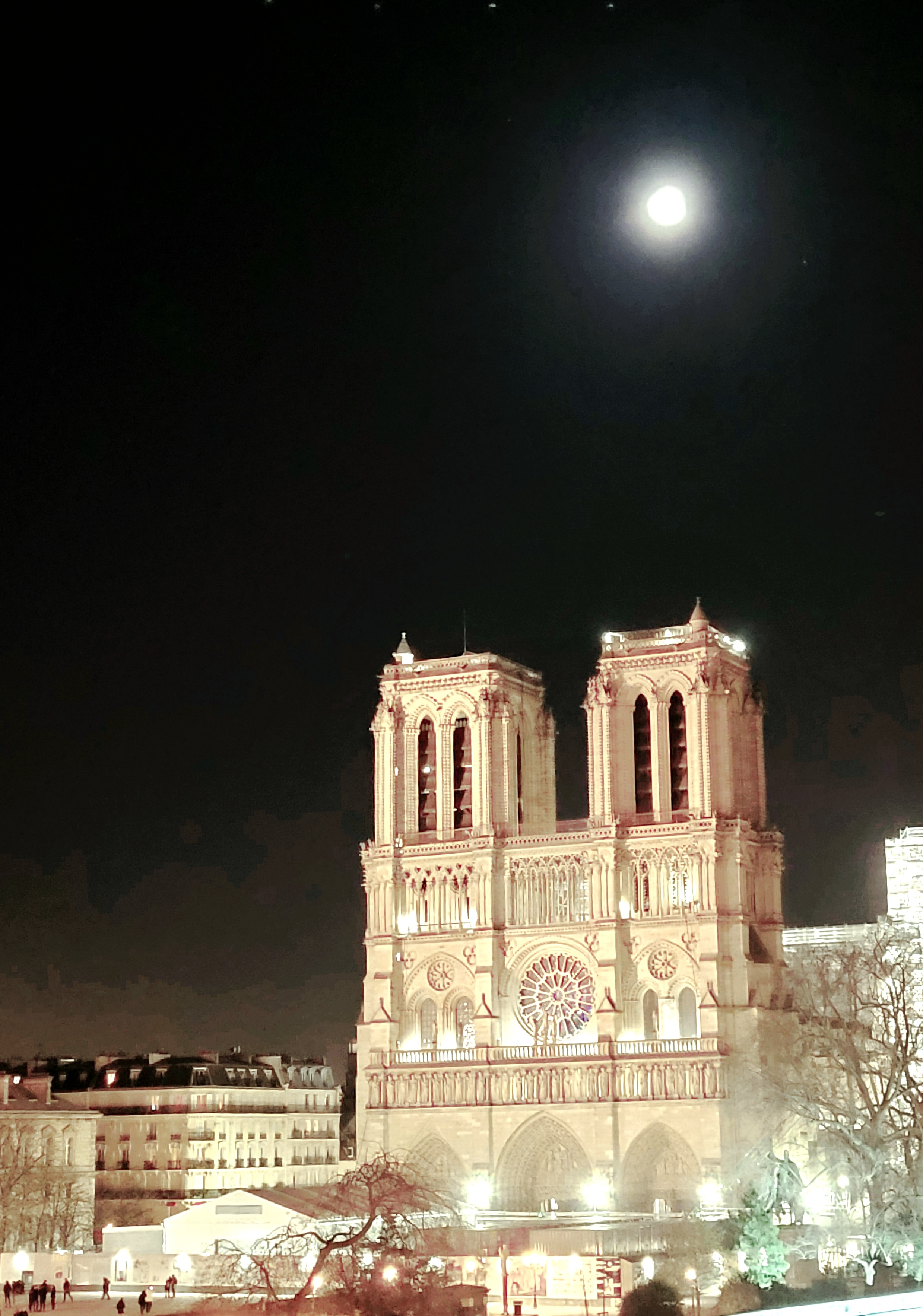 Photo n° 1 de l'avis de Lasma. fait le 06/02/2023 à 21:50