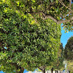 Photo n°1 de l'avis de Denise.o fait le 09/04/2022 à 08:24 sur le  Park Hotel Italy à Cannero Riviera