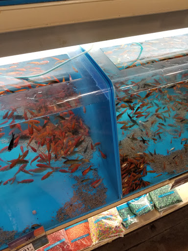 Pet Supply Store «PetSmart», reviews and photos, 860 NE Mall Blvd, Hurst, TX 76053, USA