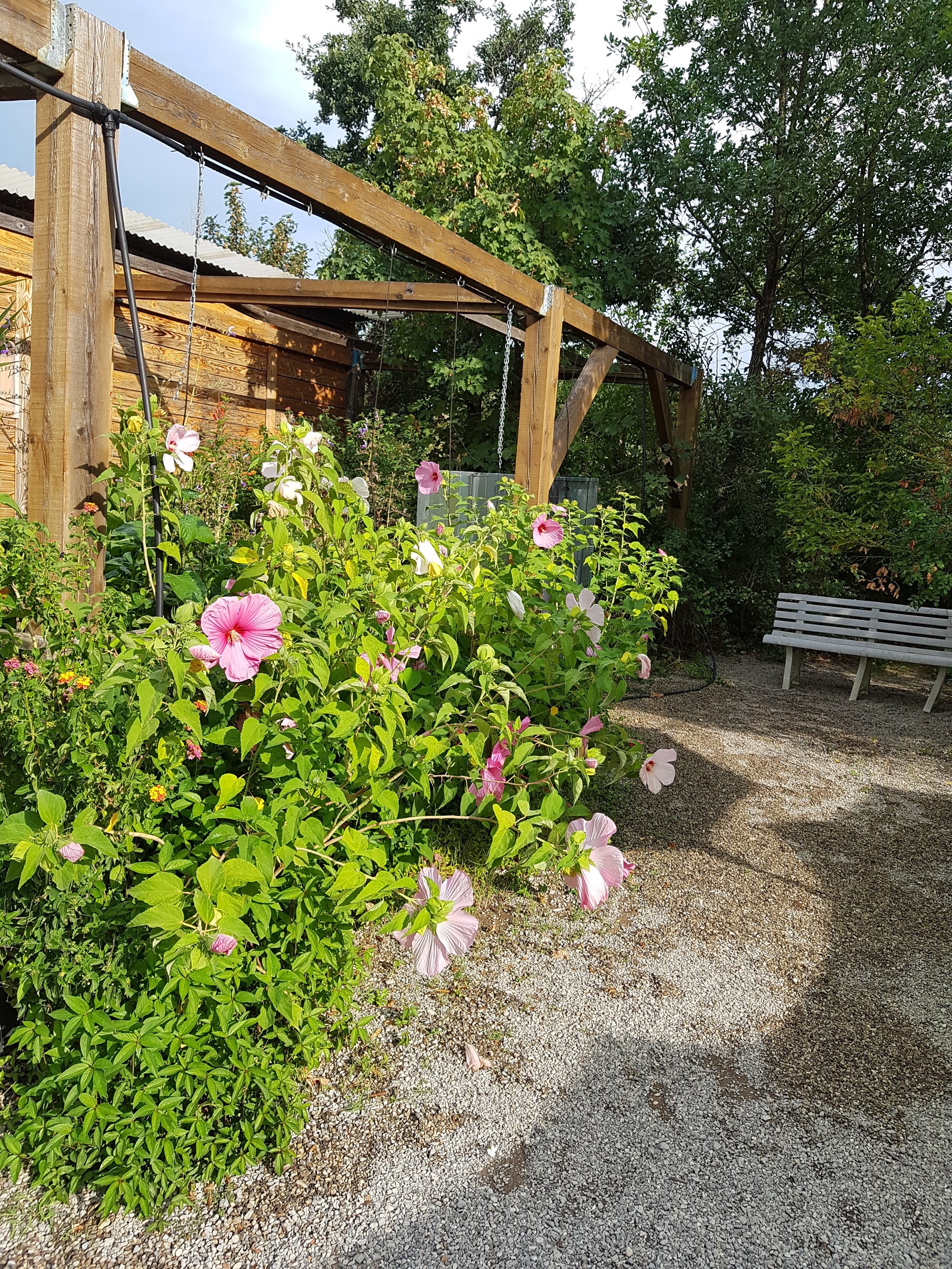 Photo n° 10 de l'avis de Michelle.o fait le 24/08/2018 à 20:01