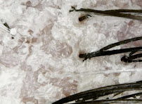 Simplistic Haircare - Photo 4 - Car repair in Little Rock, AR, Little Rock