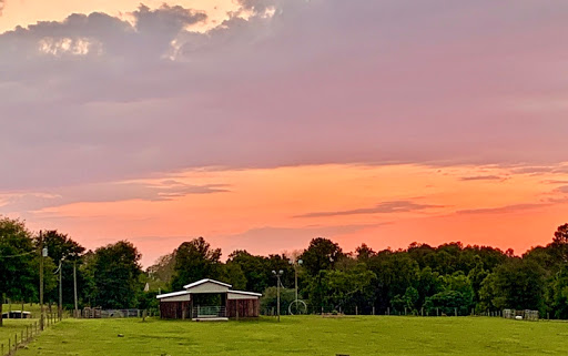 Real Estate Agency «Keller Williams Realty New Tampa», reviews and photos, 18302 Highwoods Preserve Pkwy #110, Tampa, FL 33647, USA