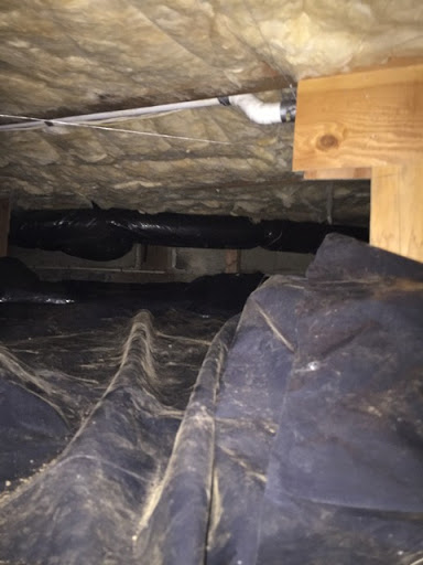 Insulation Contractor «Crawl Pros», reviews and photos