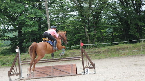 ECURIES DE LA GARENNE à Moussy-le-Neuf