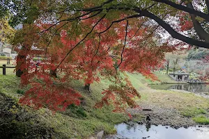 Jokoji Park image