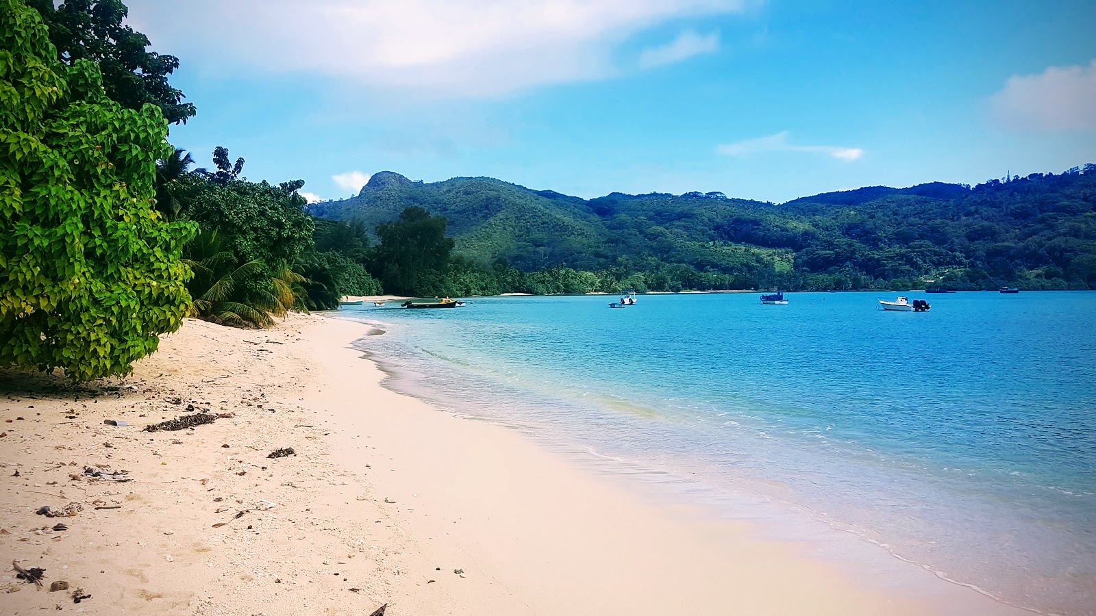 Foto di Anse Boileau Beach con una superficie del sabbia beige fine