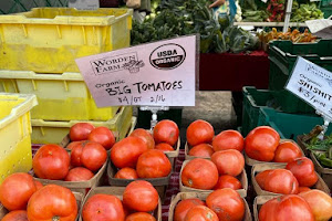 Farmers Market St Petersburg