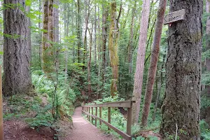 Seal Bay Nature Park image