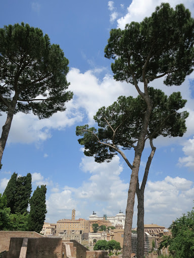 Cruise Agency «World Travel Inc», reviews and photos, 2525 NW Upshur St, Portland, OR 97210, USA