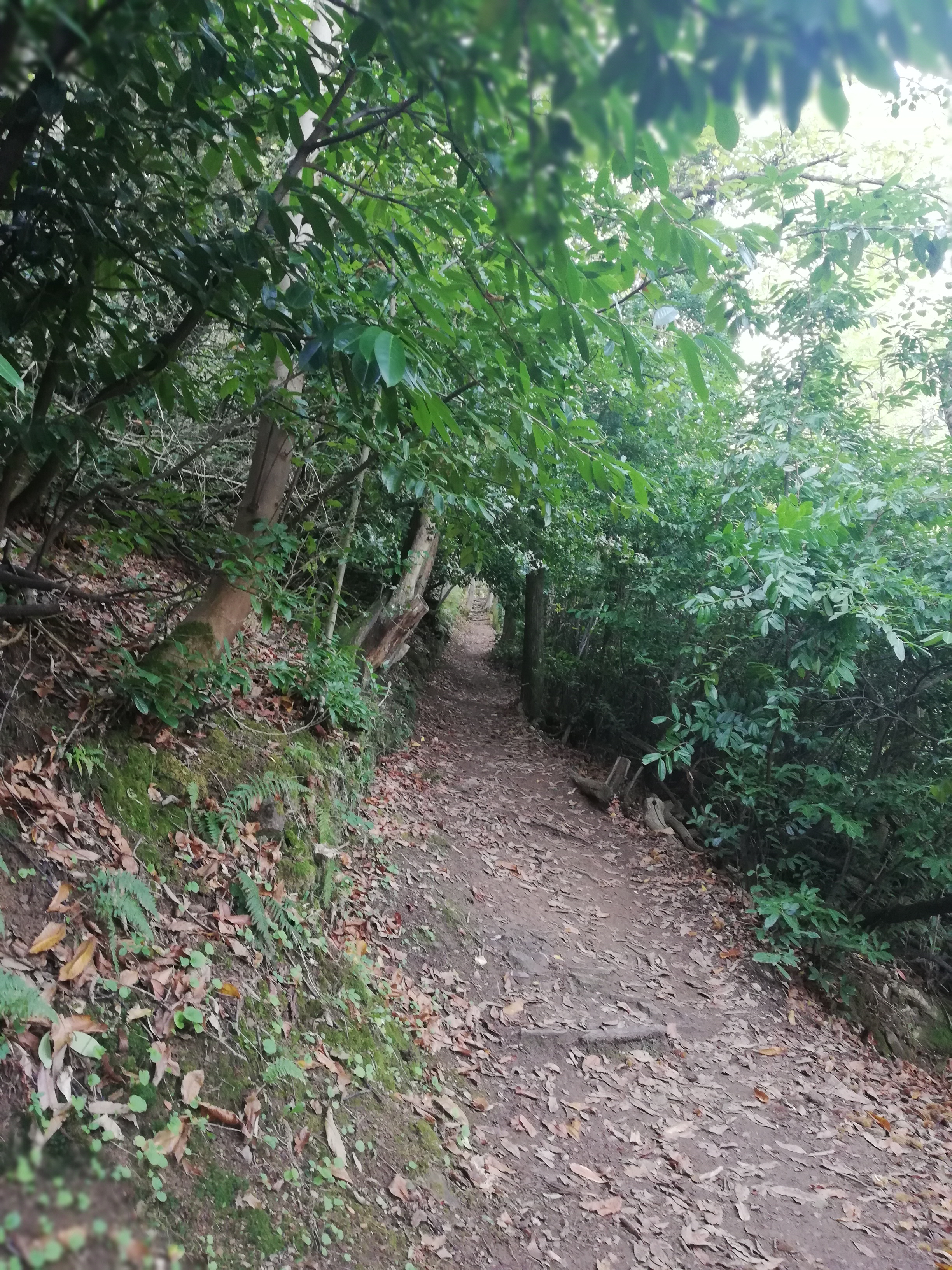 Photo n° 2 de l'avis de Nath.h fait le 20/10/2020 à 07:57