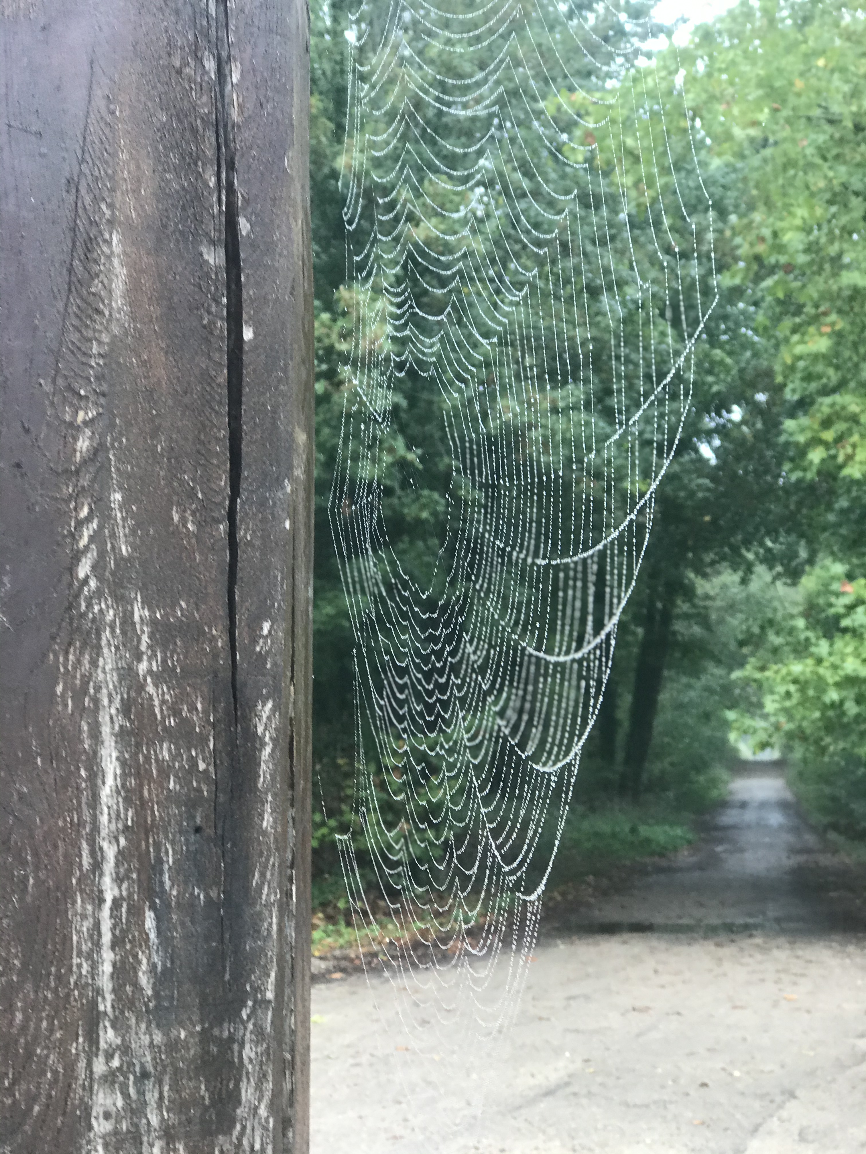 Photo n° 1 de l'avis de POMPIER.A fait le 06/10/2020 à 14:03